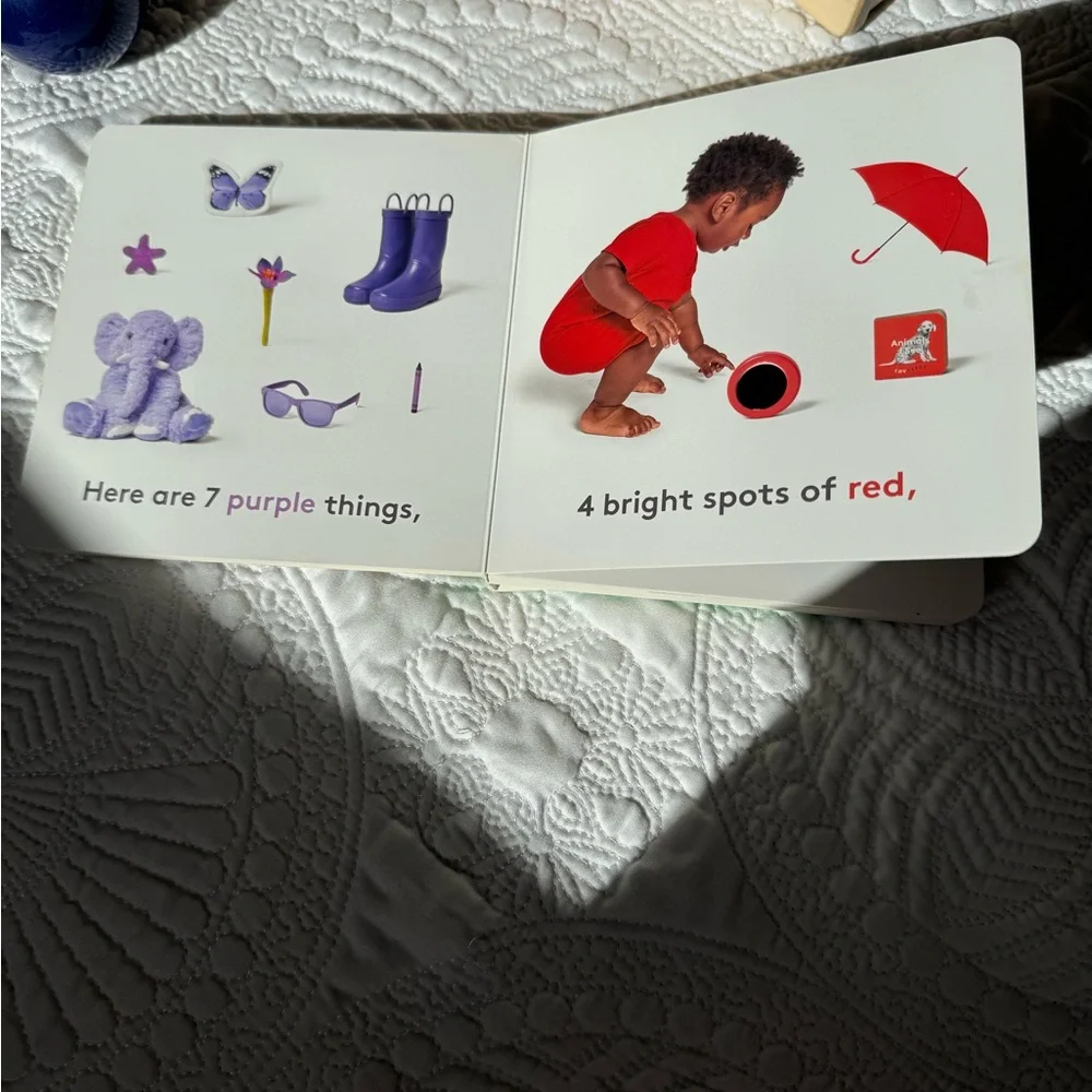 The Thinker Play Kit Lovevery Months 11-12 w extras - Picture 6 of 6